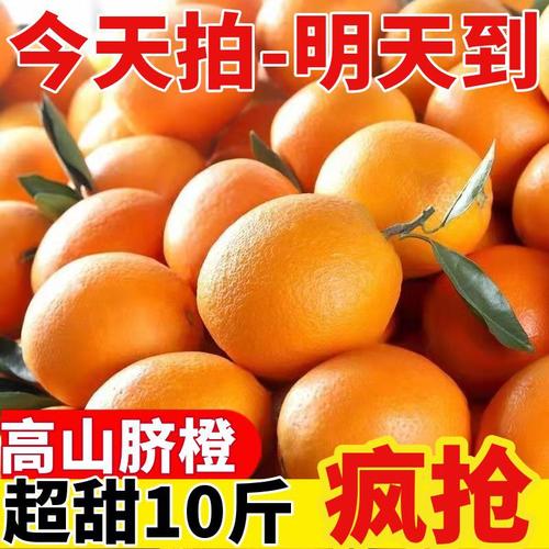 东莞水果市场全解析 厂家、品牌、图片与热帖，一篇文章看懂行业真相